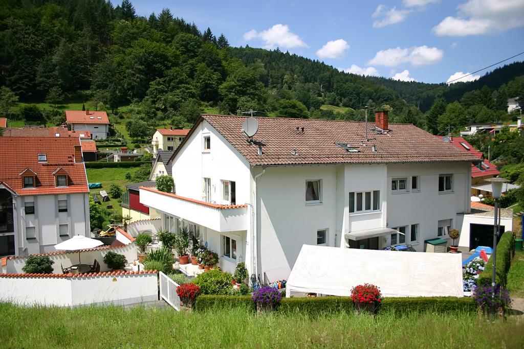 Apartmenthaus "Zum Lowen" Heidelberg - Ziegelhausen Экстерьер фото
